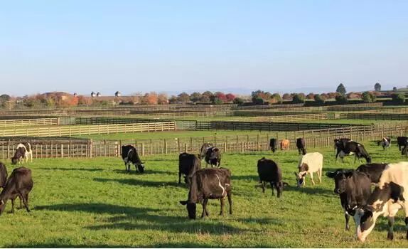 持132签证在澳洲可以这样投资!(图3) 持132签证在澳洲可以这样投资!(图3)